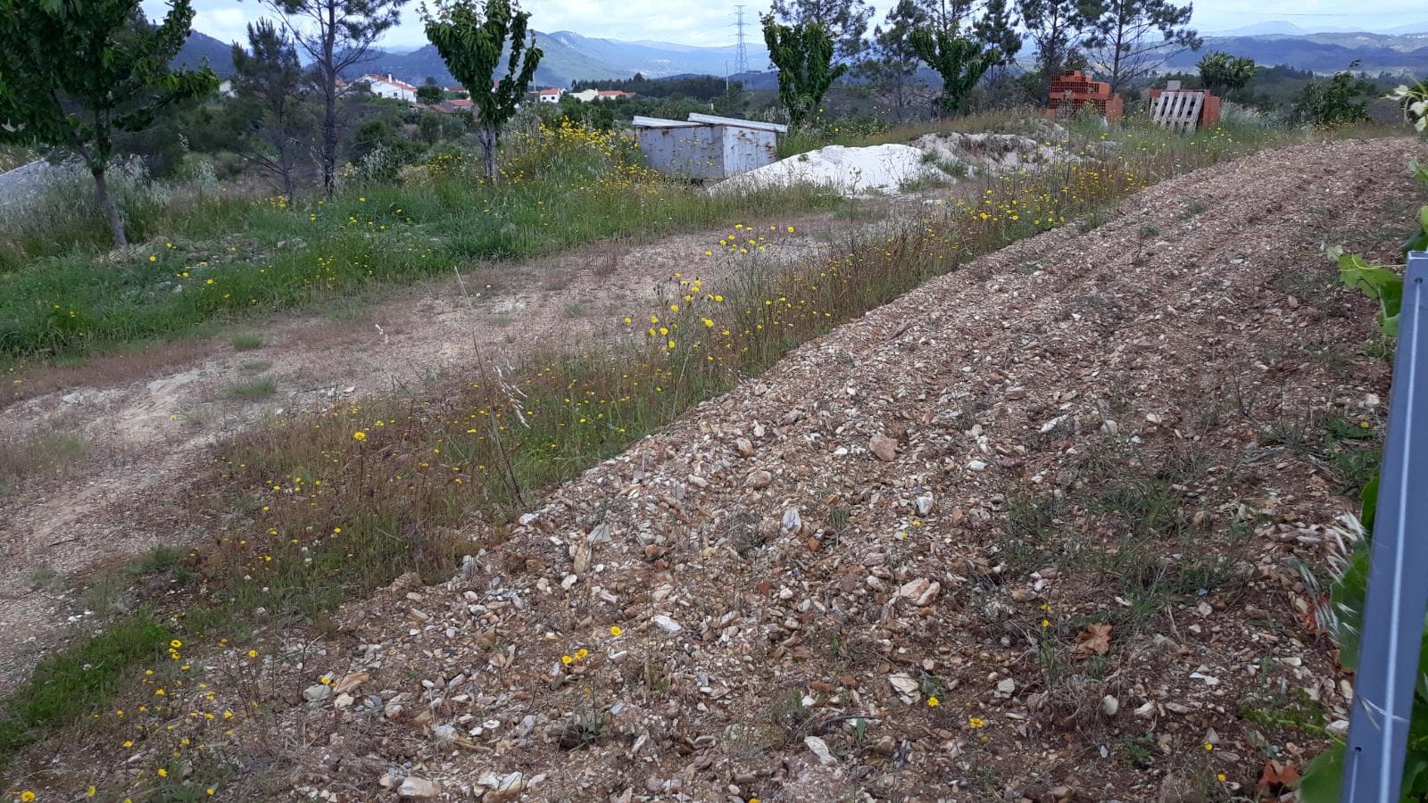 Terreno · Vila Velha de Ródão - Castelo Branco — imagem 4