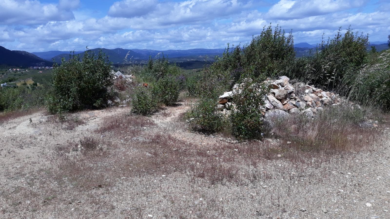 Terreno · Vila Velha de Ródão - Castelo Branco