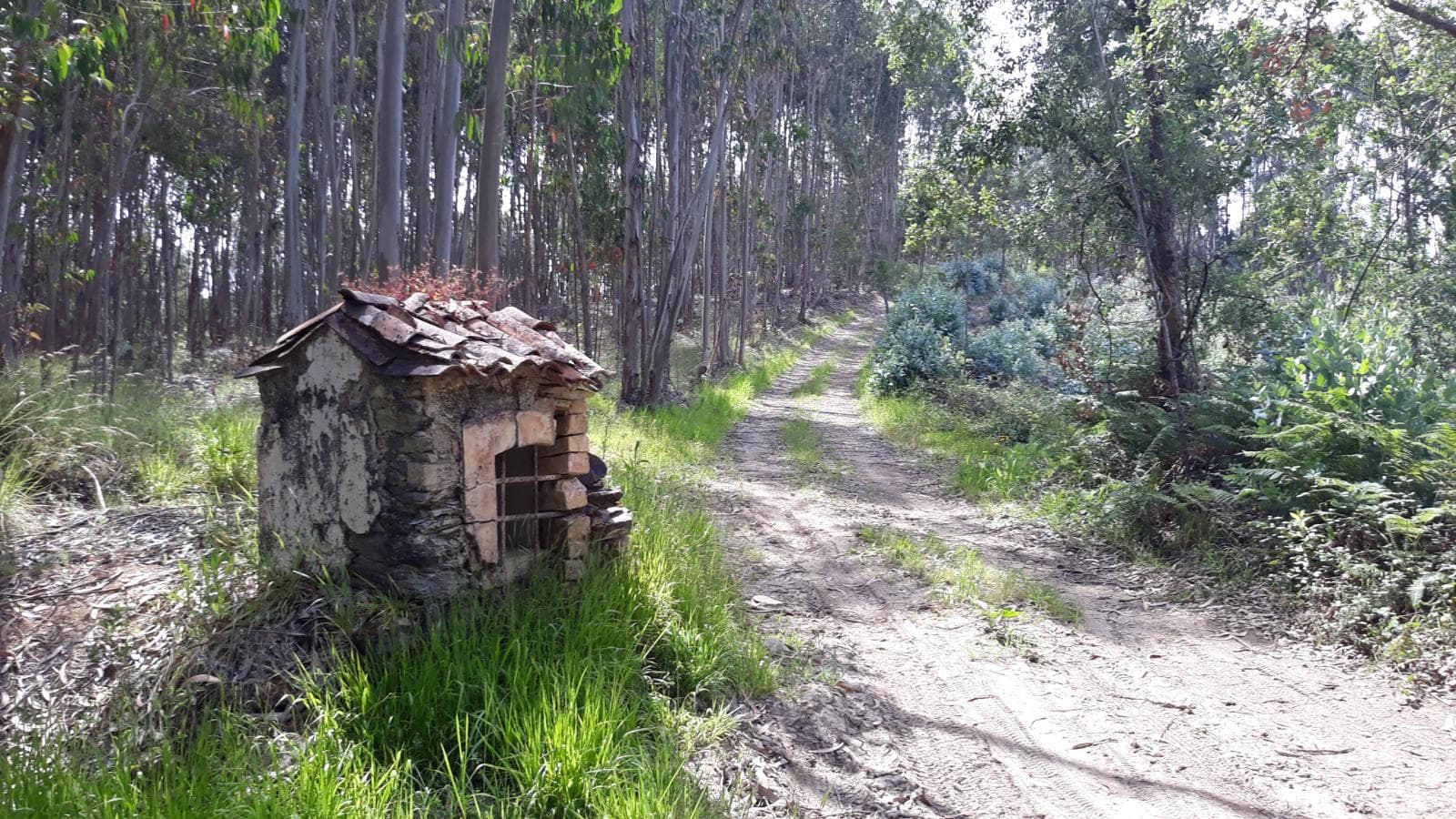 66.611/100.000 Terreno · Vila Nova de Poiares — imagem 4