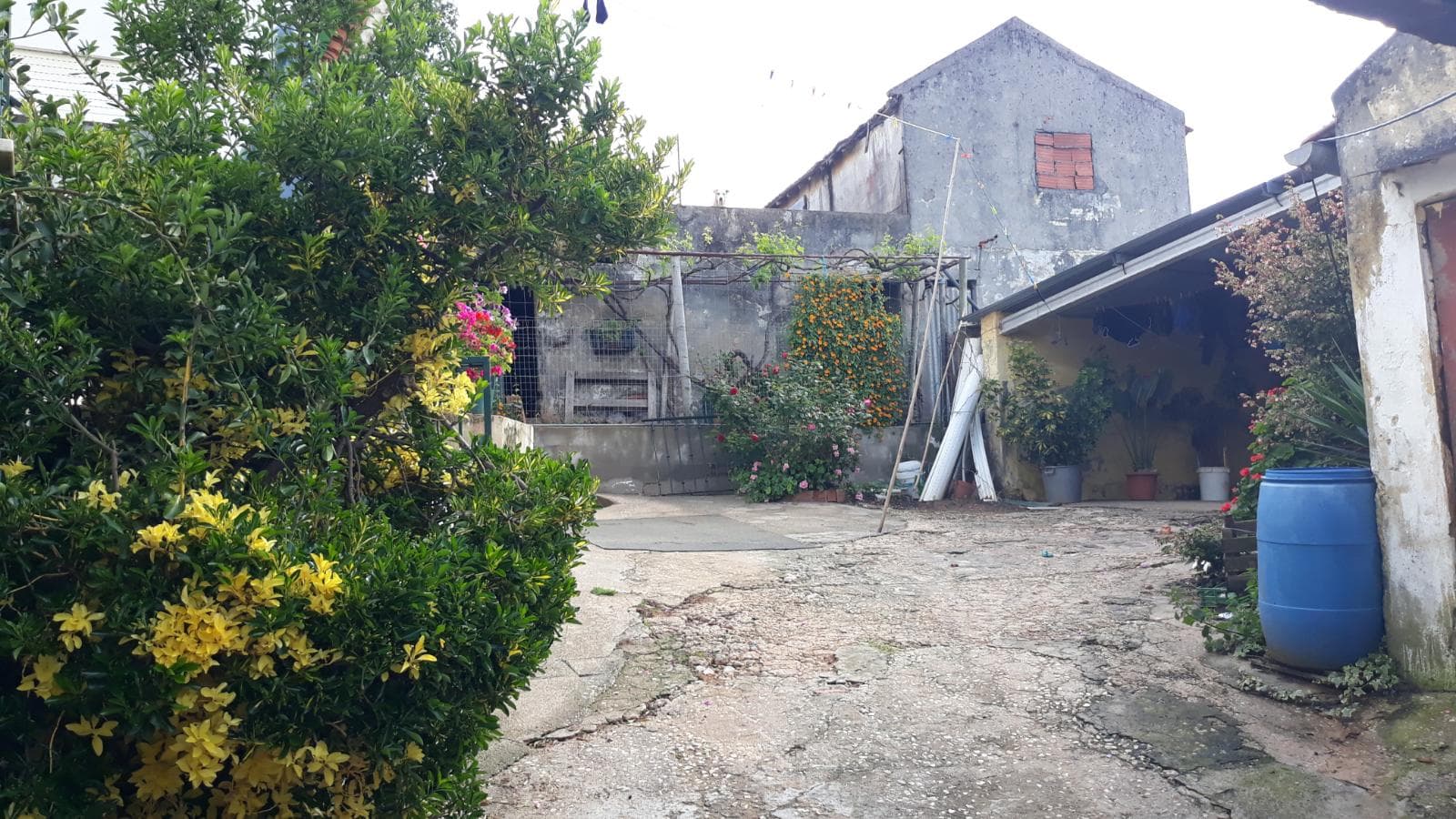 Quinhão Hereditário · Caldas da Rainha — image 8