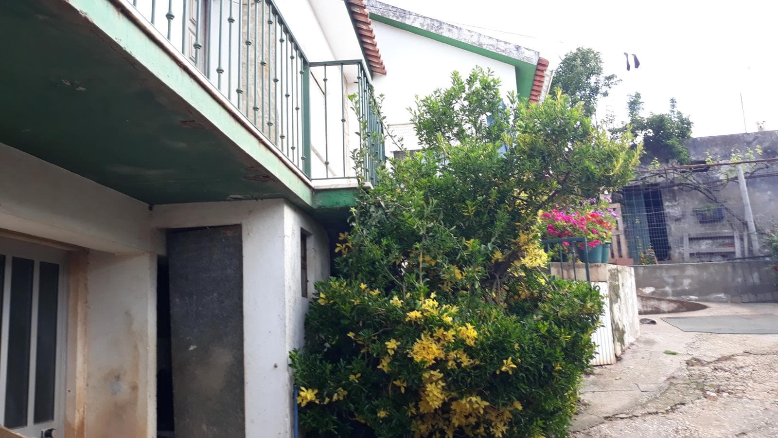 Quinhão Hereditário · Caldas da Rainha — image 10