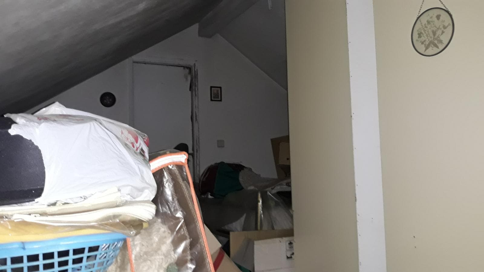 Proporção de 1/3 + Quinhão Hereditário de Moradia V2 · Santa Comba Dão — imagem 8