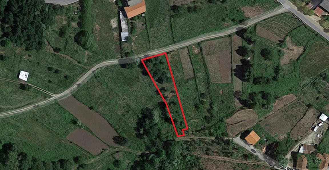 Terreno · Oliveira de Frades — imagem 6