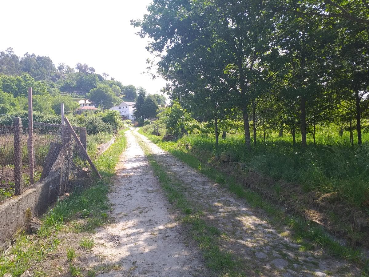 Terreno · Oliveira de Frades — imagem 2