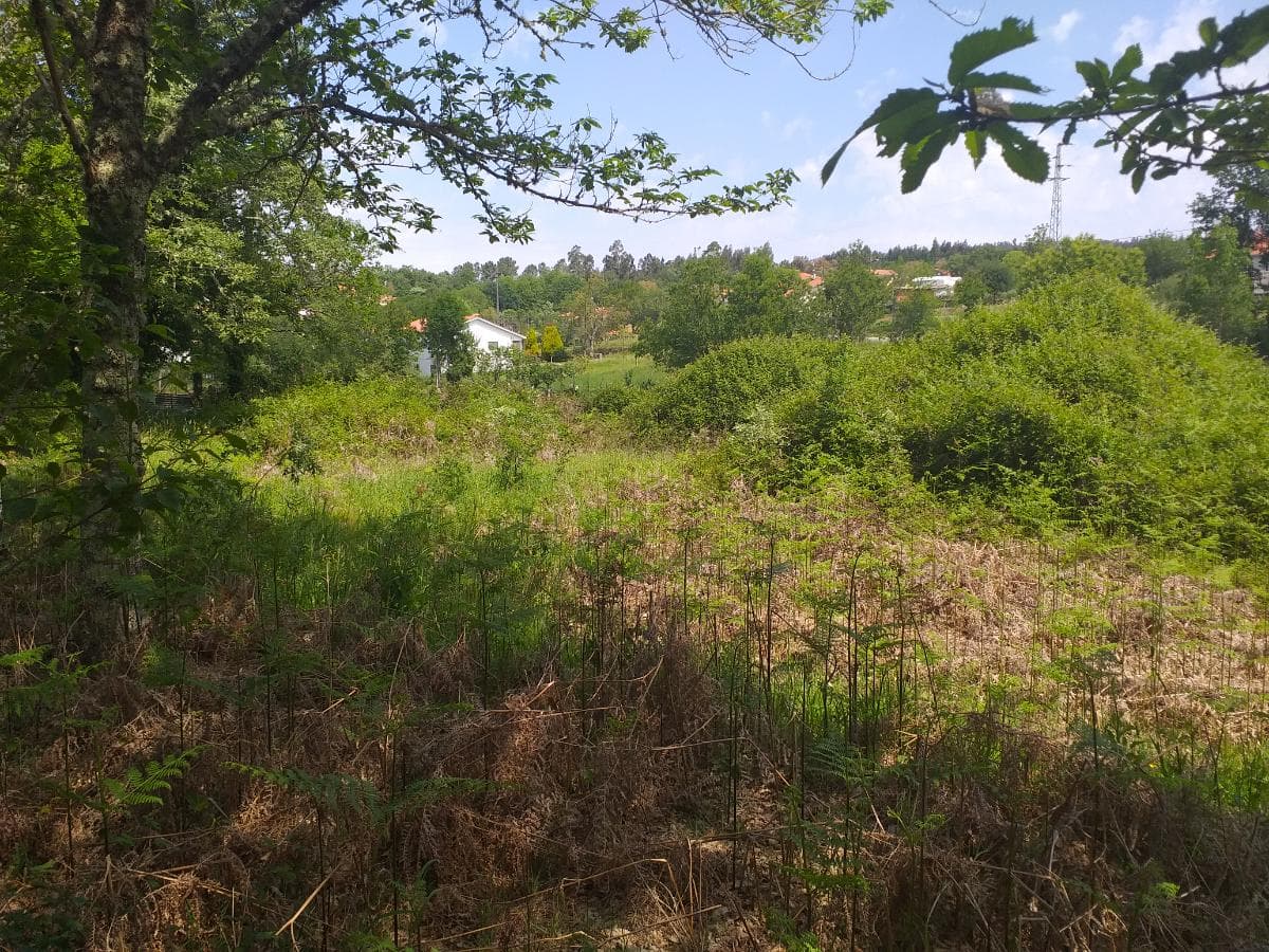 Terreno · Oliveira de Frades — imagem 2