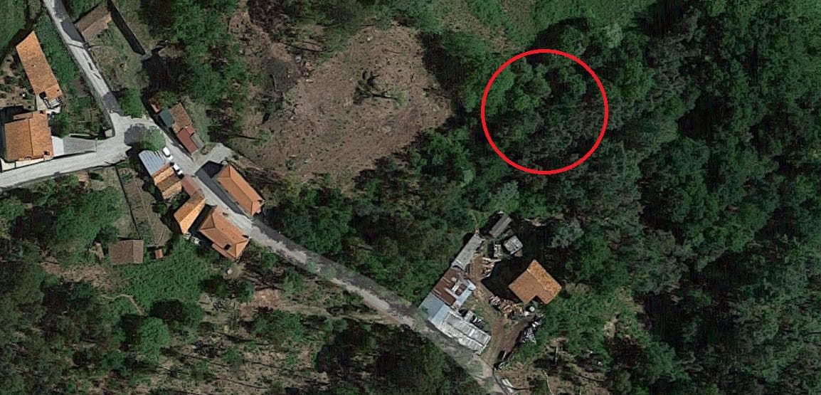 Terreno · Oliveira de Frades — imagem 8