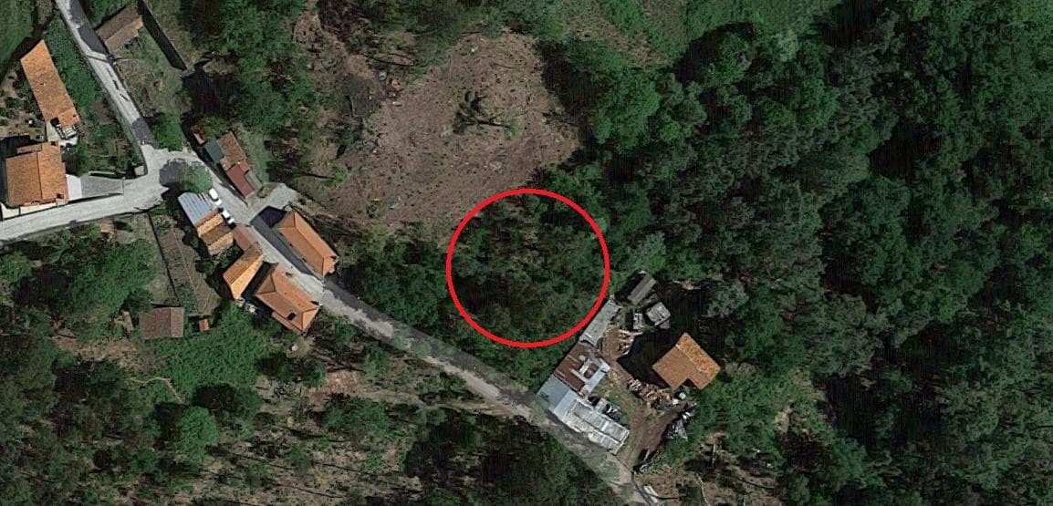 Terreno · Oliveira de Frades — image 9