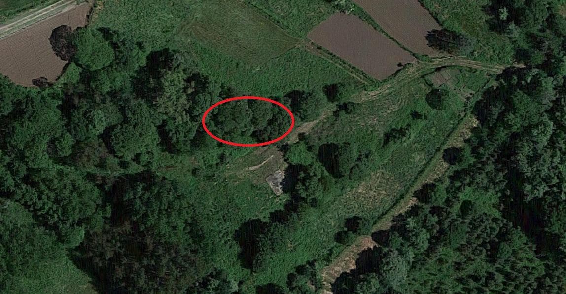 Terreno · Proporções de Terrenos · Oliveira de Frades — imagem 7
