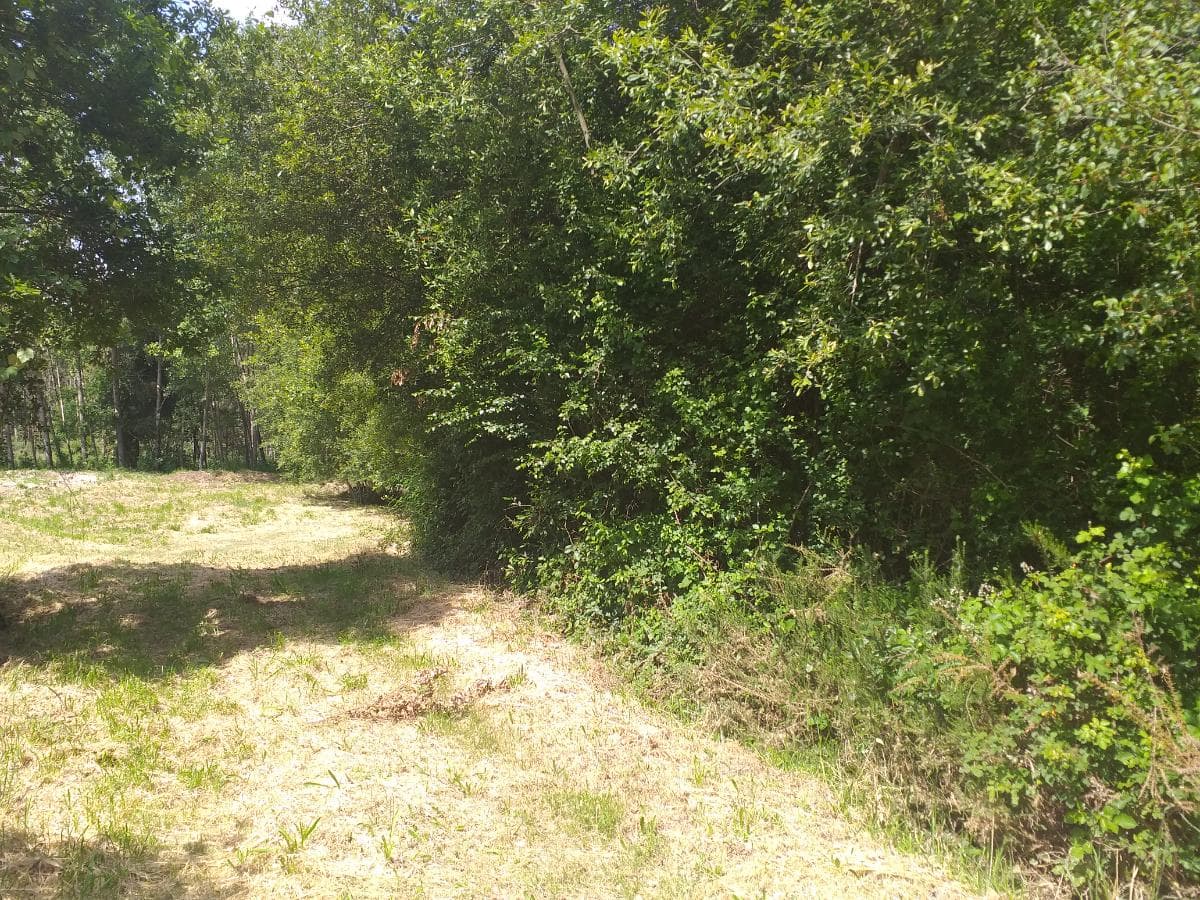 Terreno · Proporções de Terrenos · Oliveira de Frades — imagem 4
