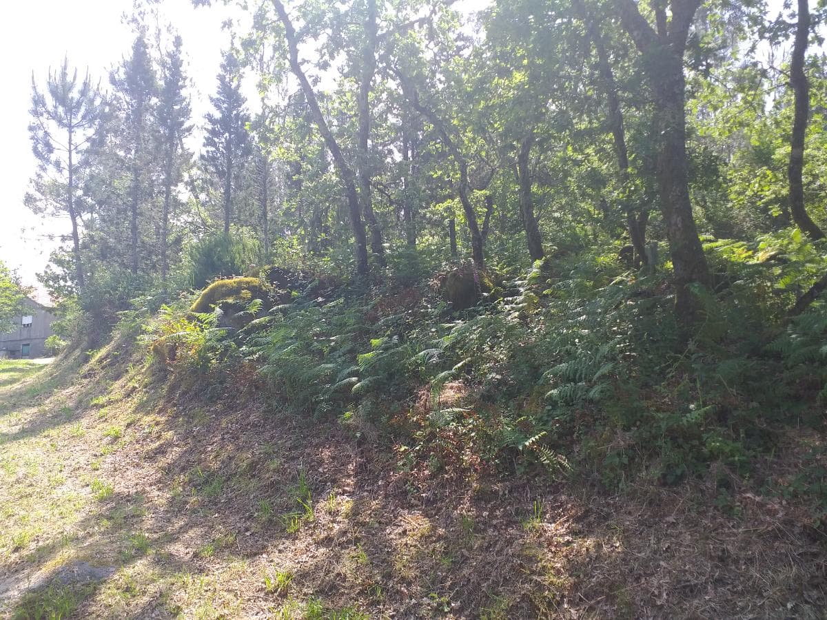 Terreno · Proporções de Terrenos · Oliveira de Frades — imagem 5