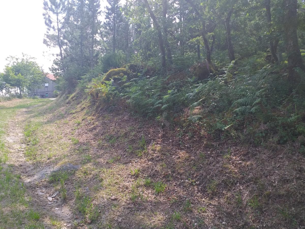 Terreno · Proporções de Terrenos · Oliveira de Frades — imagem 3
