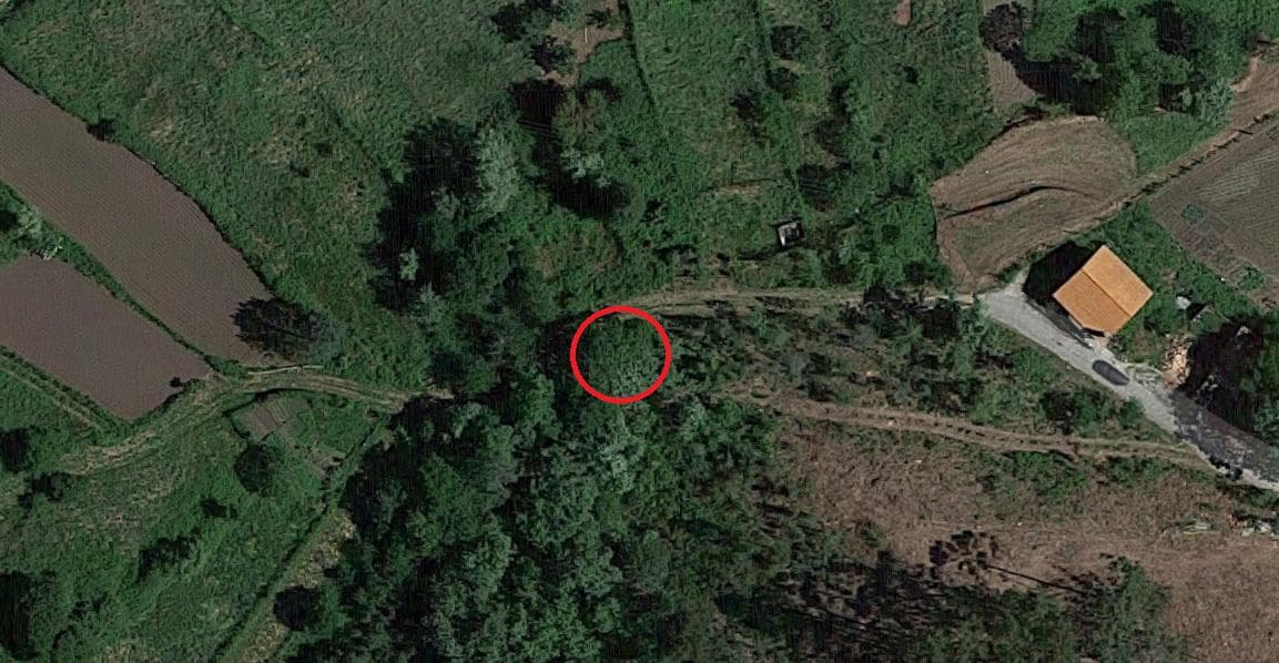 Terreno · Proporções de Terrenos · Oliveira de Frades — imagem 8