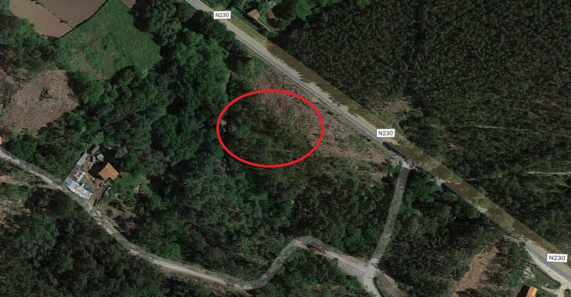 Terreno · Oliveira de Frades — imagem 4