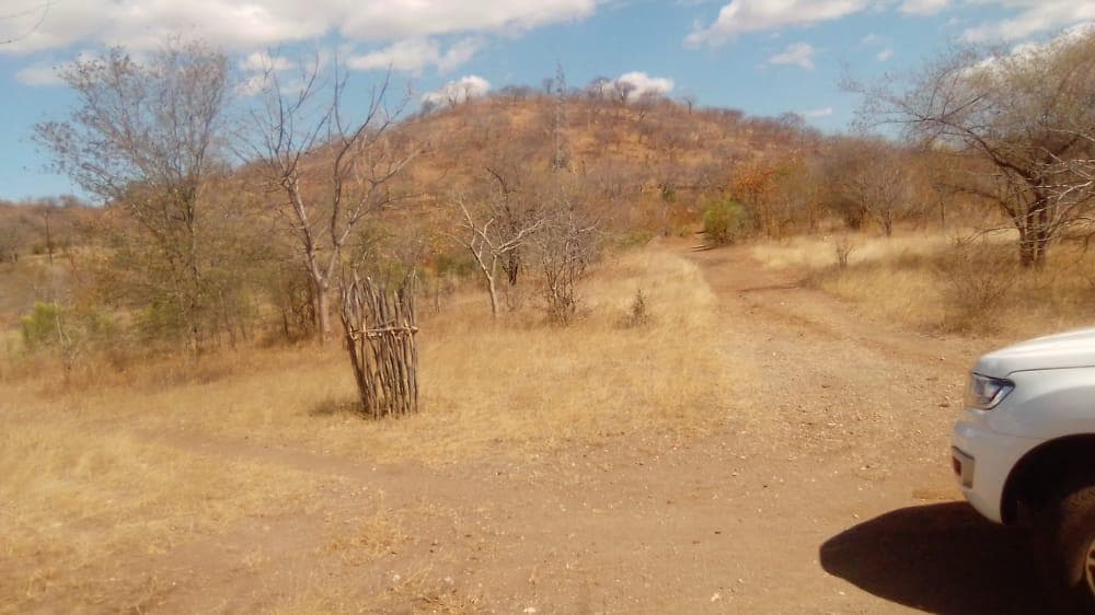 Infraestruturas em terreno de 2 Hectares e 362 metros · — imagem 6
