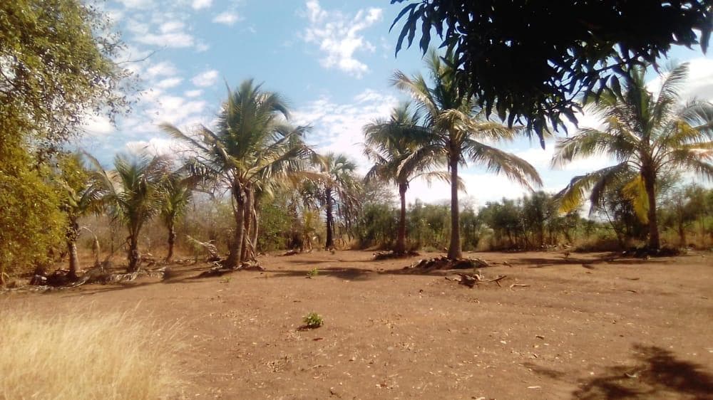 Infraestruturas em terreno de 2 Hectares e 362 metros · — imagem 2