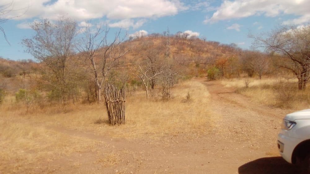 Infraestruturas em terreno de 2 Hectares e 362 metros · — imagem 7