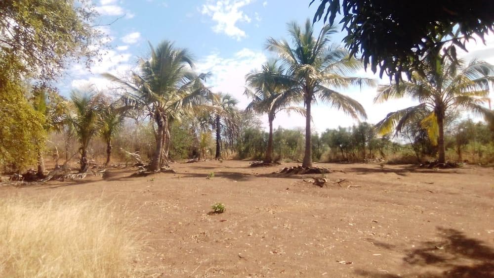 Infraestruturas em terreno de 2 Hectares e 362 metros · — imagem 1