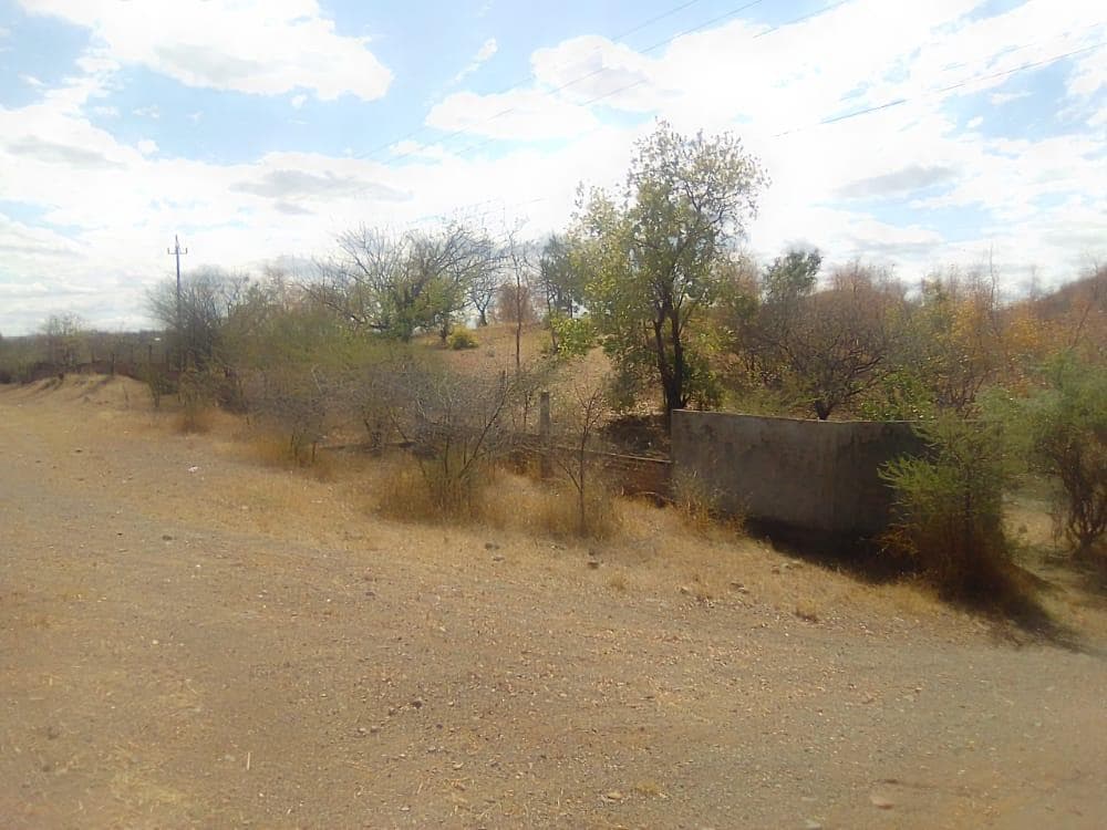 Infraestruturas em terreno de 2 Hectares e 362 metros · — imagem 9