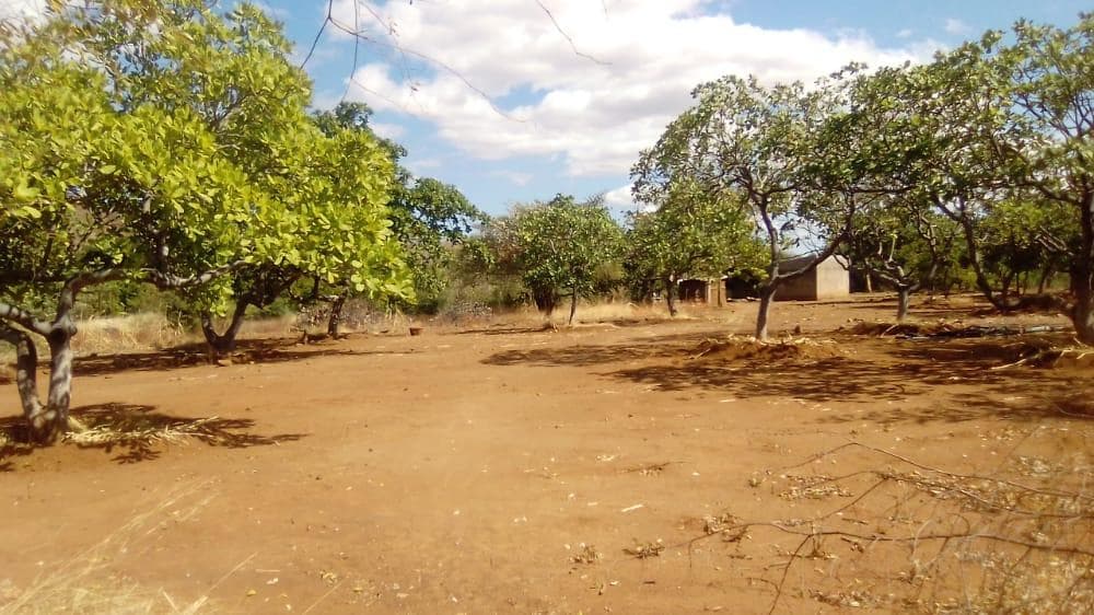 Infraestruturas em terreno de 30 Hectares ·