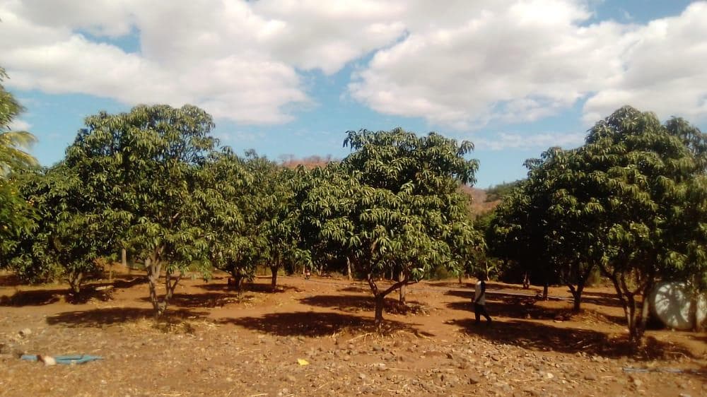 Infraestruturas em terreno de 30 Hectares · — imagem 6