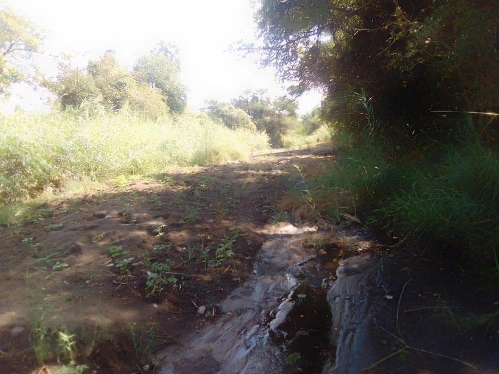 Infraestruturas em terreno de 30 Hectares · — imagem 10