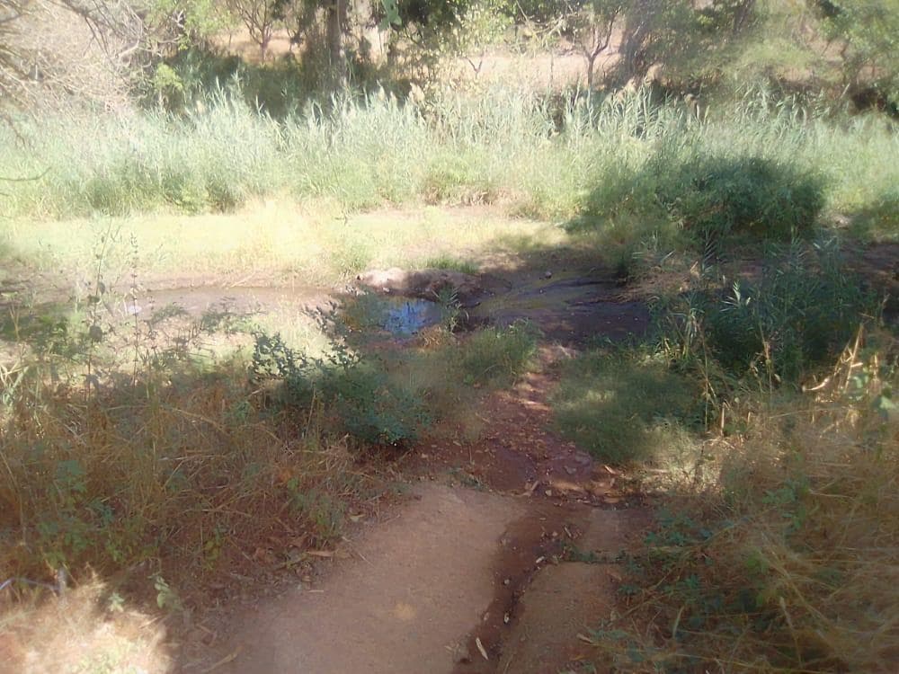 Infraestruturas em terreno de 30 Hectares · — imagem 12