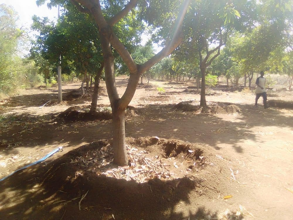Infraestruturas em terreno de 30 Hectares · — imagem 17