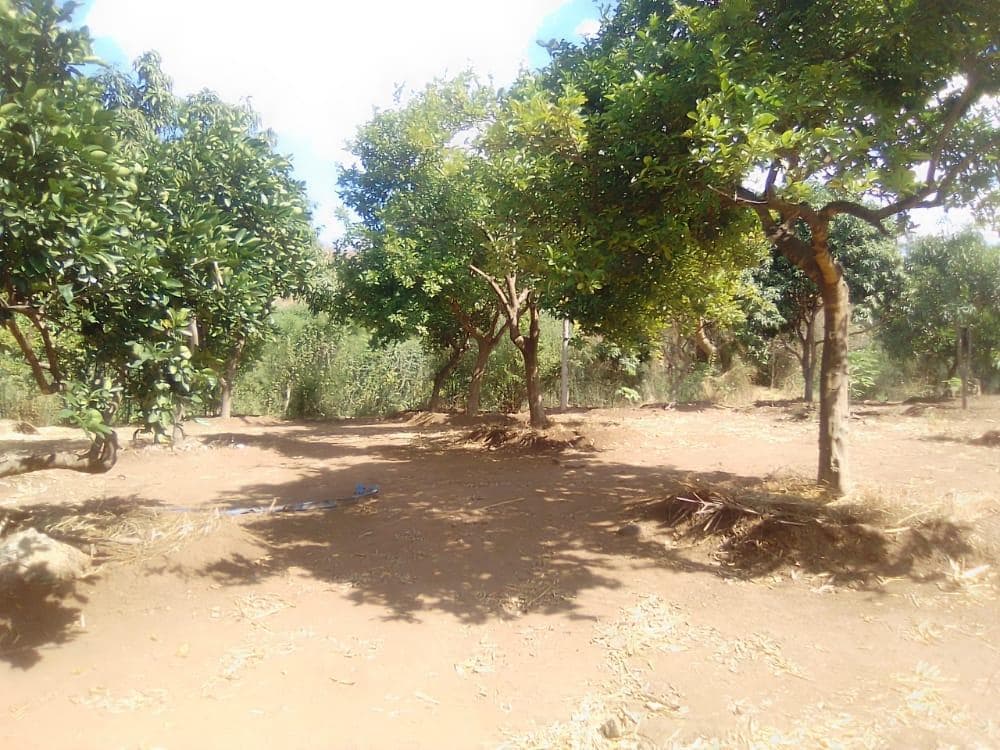 Infraestruturas em terreno de 30 Hectares · — imagem 18