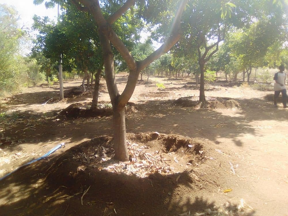 Infraestruturas em terreno de 30 Hectares · — imagem 20