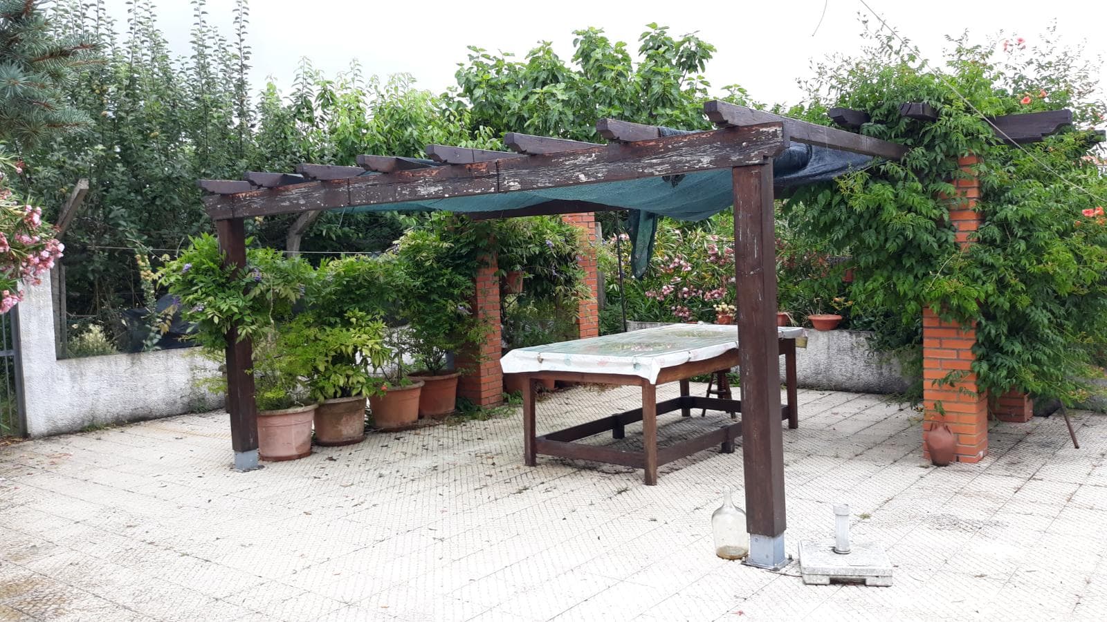 Moradia V4 c/ Terreno · Penacova, Coimbra — image 11