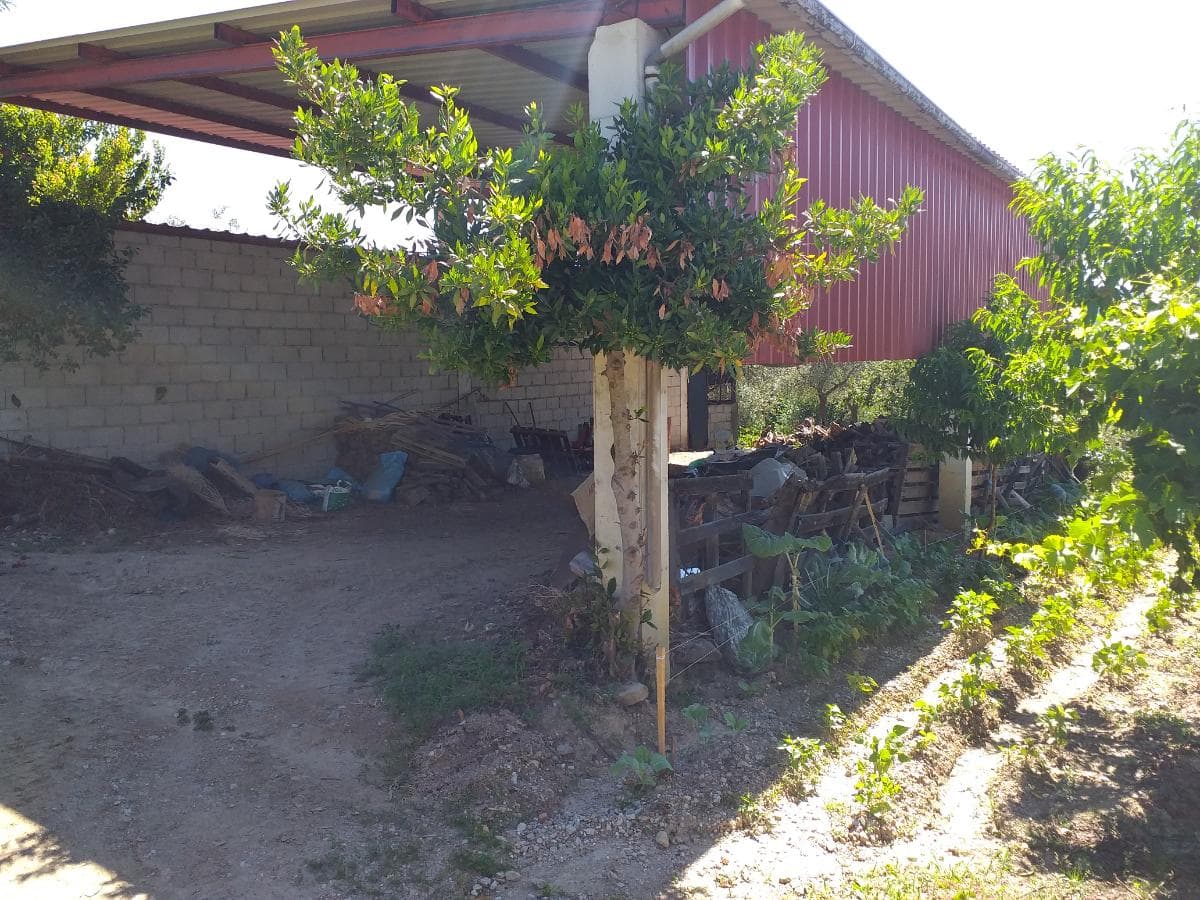 Quinhão Hereditário · Mirandela — imagen 11