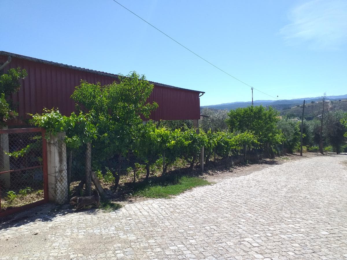 Quinhão Hereditário · Mirandela — imagen 13