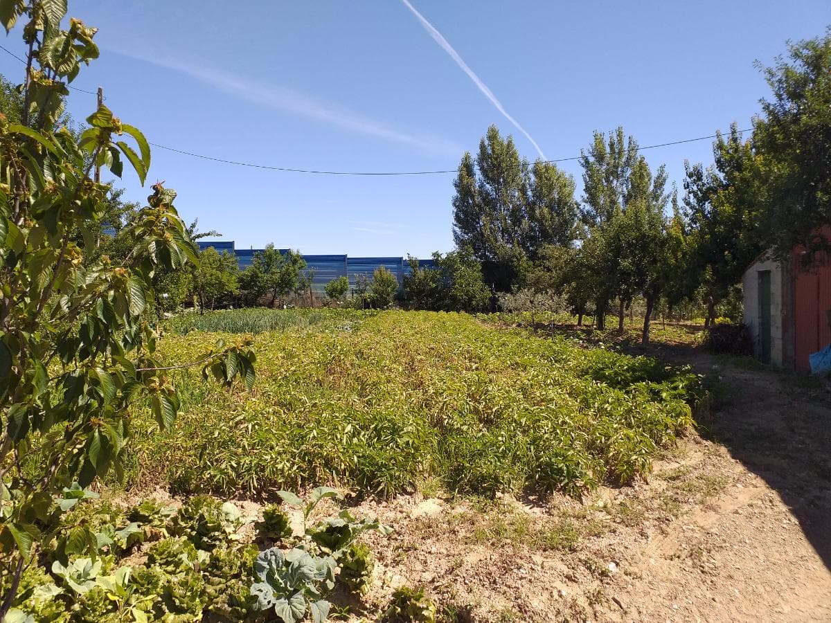 Quinhão Hereditário · Mirandela — imagen 6