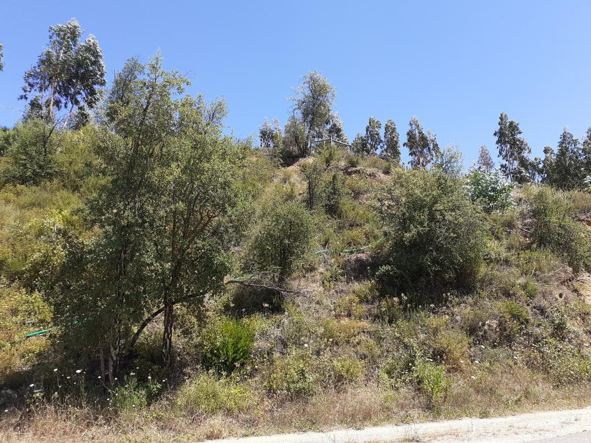 Quinhão Hereditário · Abrantes — imagem 8