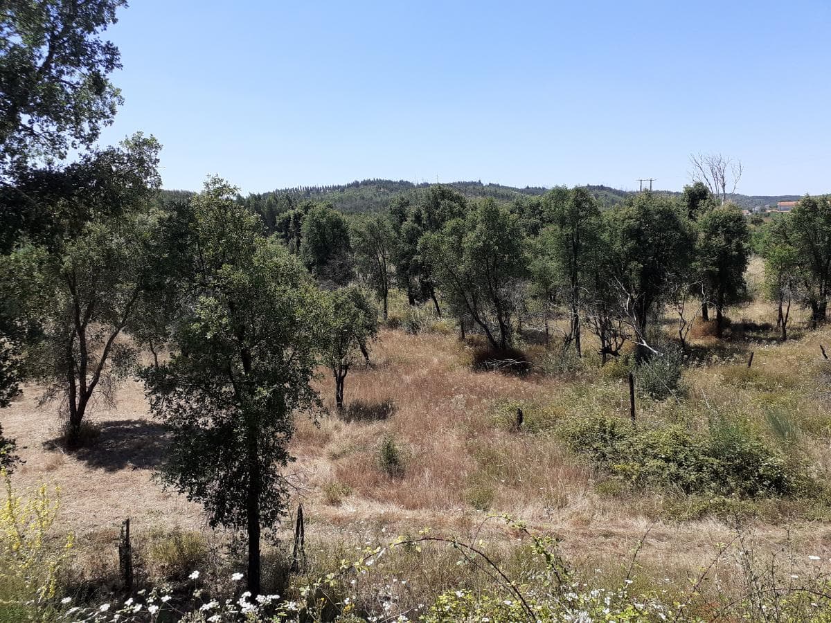 Quinhão Hereditário · Abrantes — imagem 7