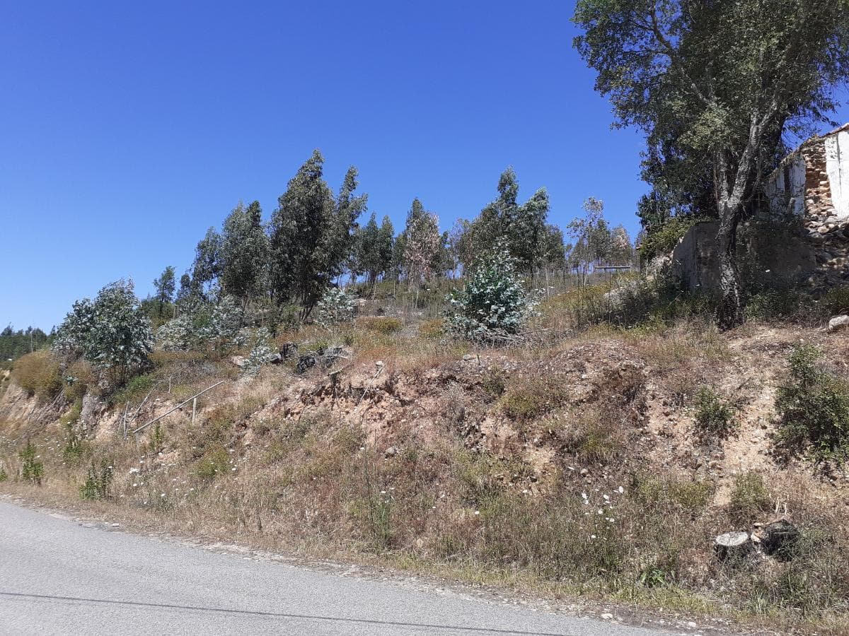 Quinhão Hereditário · Abrantes — imagem 9