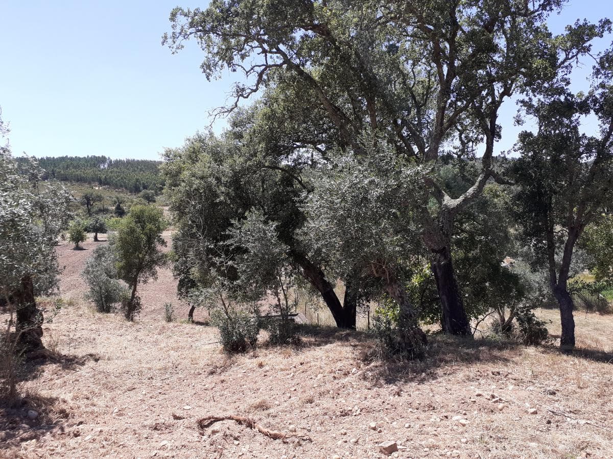 Quinhão Hereditário · Abrantes — imagem 5