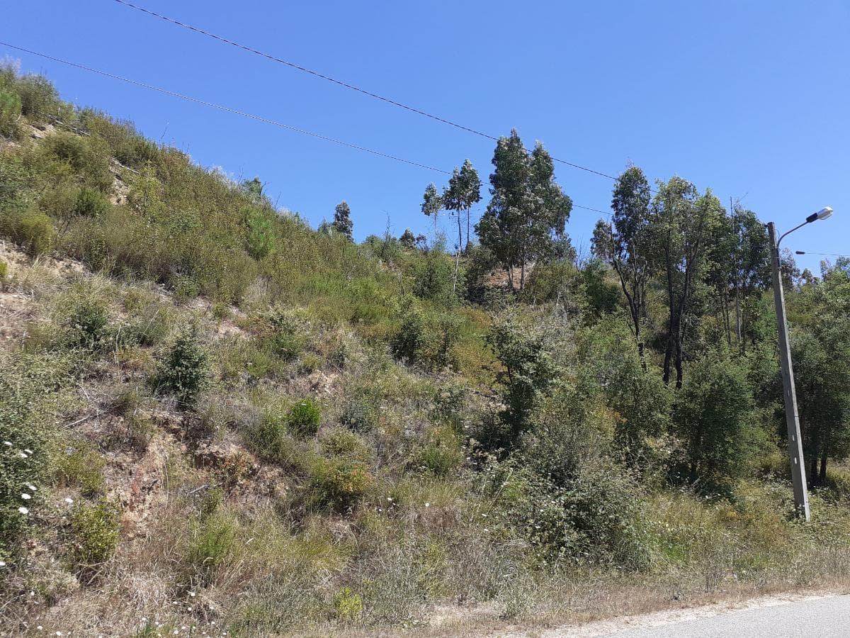 Quinhão Hereditário · Abrantes — imagem 10
