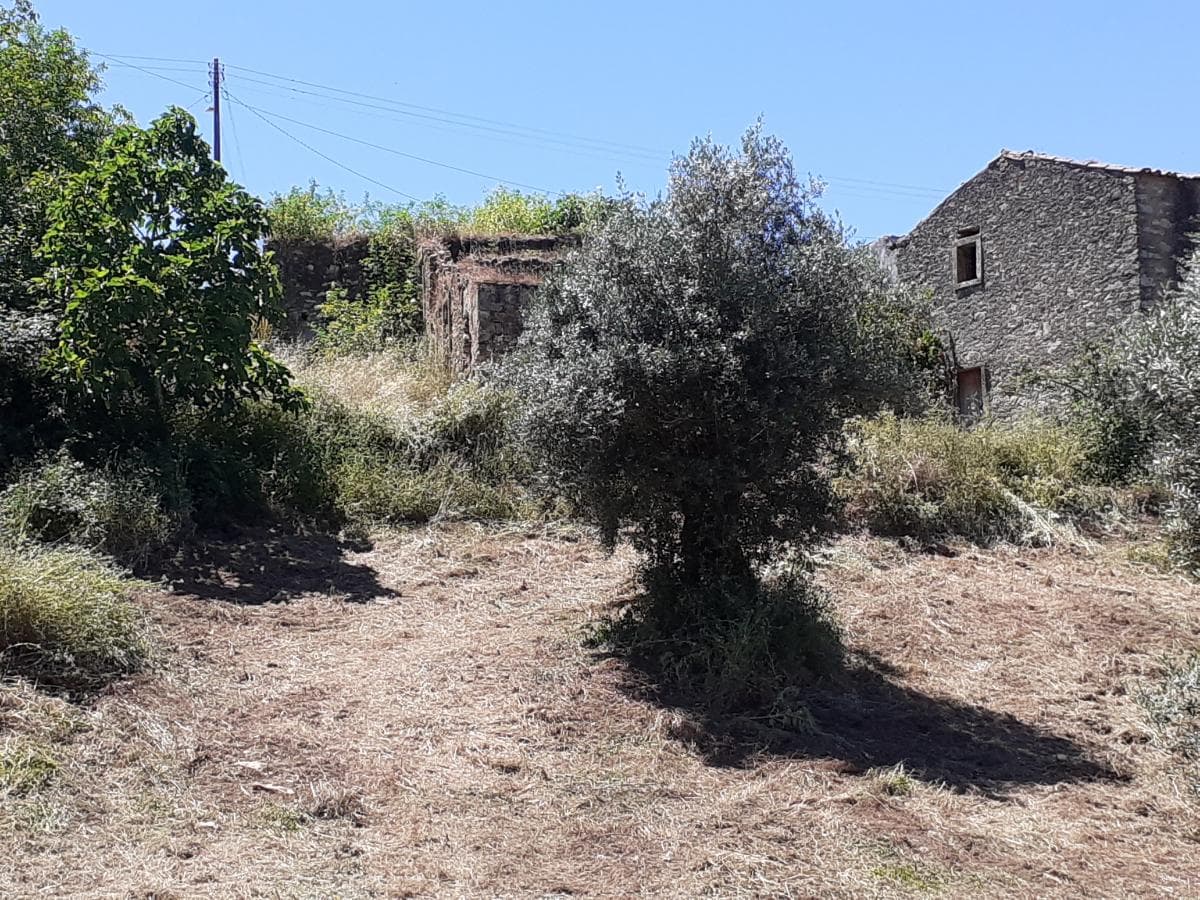 Moradia em Ruínas c/ Terreno · Tomar — imagem 2