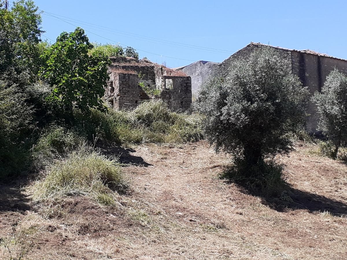 Moradia em Ruínas c/ Terreno · Tomar — imagem 3
