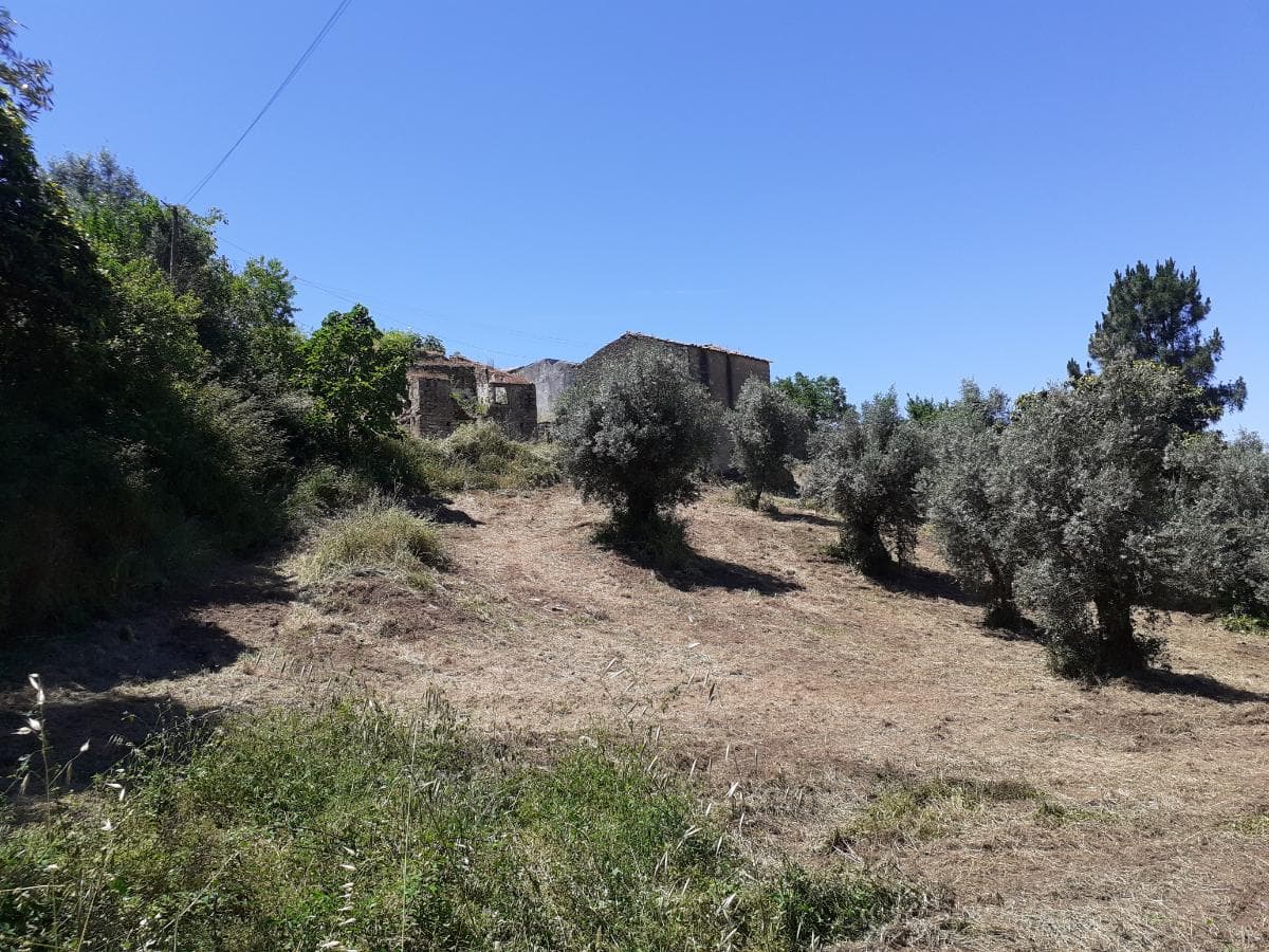 Moradia em Ruínas c/ Terreno · Tomar — imagem 6