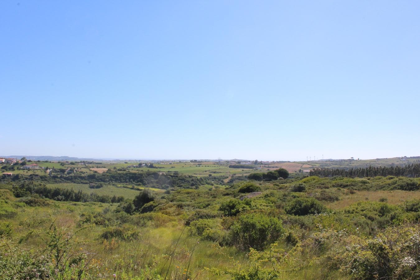 1/2 de Terreno com Benfeitoria · Alenquer — image 2