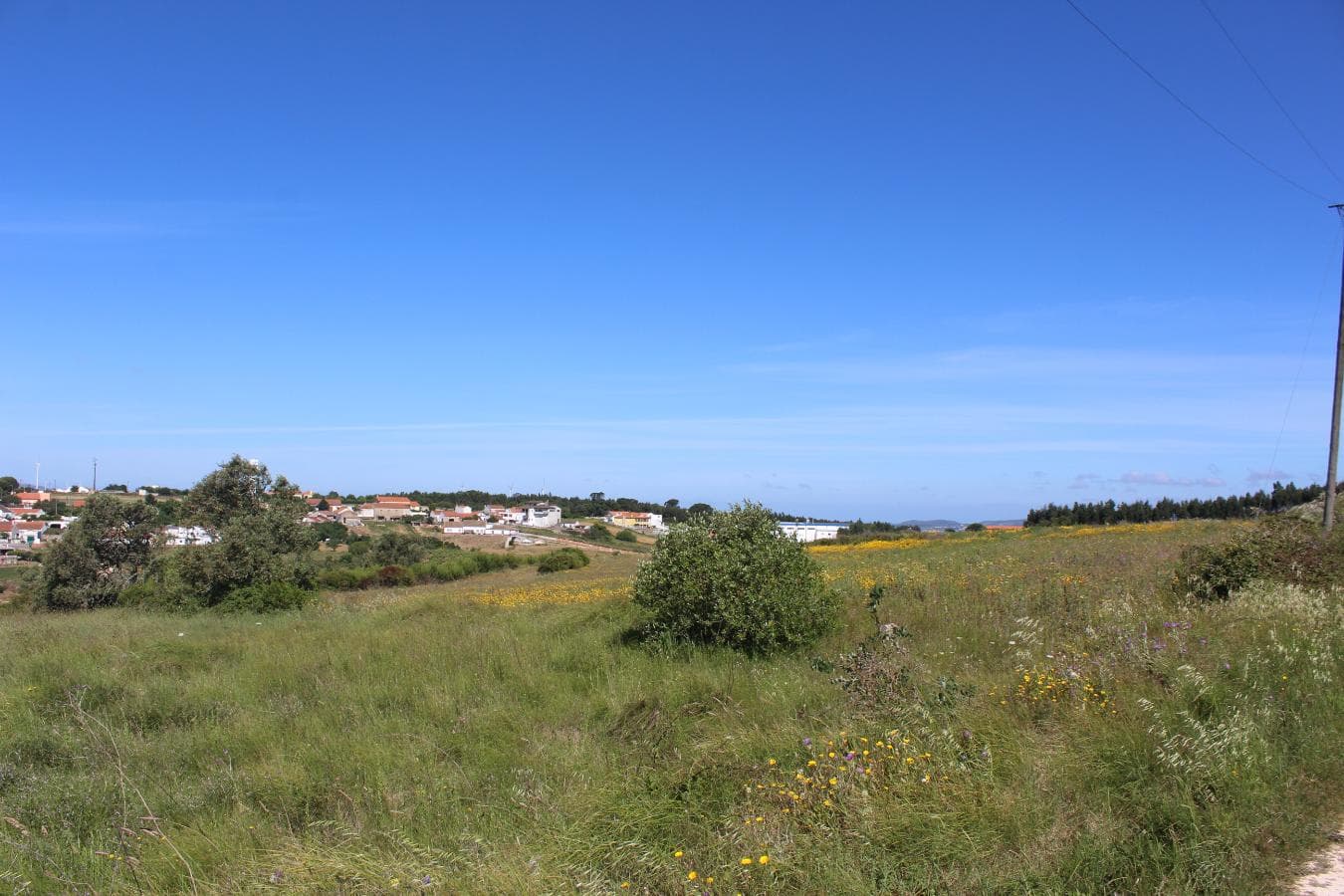 1/2 de Terreno com Benfeitoria · Alenquer — image 5