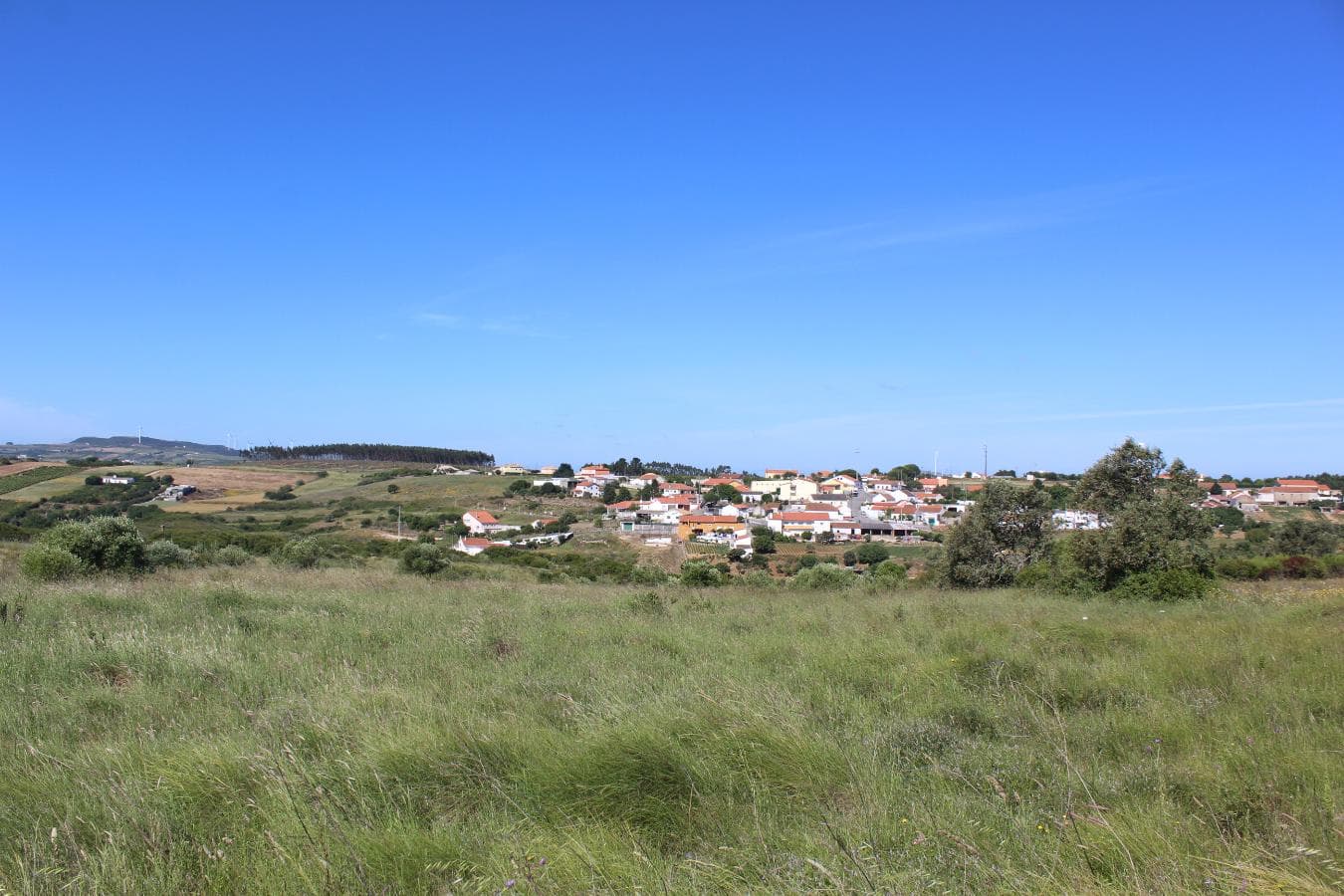 1/2 de Terreno com Benfeitoria · Alenquer — image 10