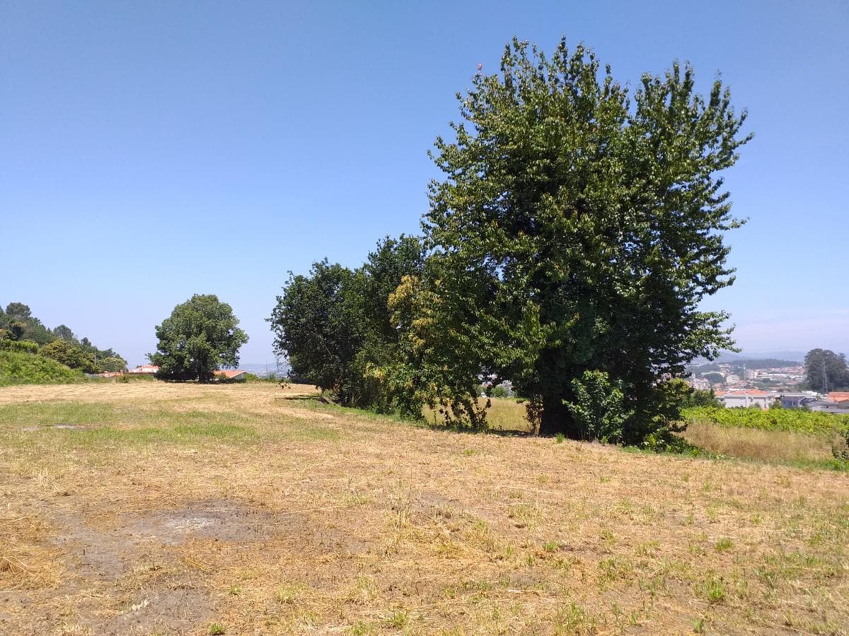 1/8 de Terrenos · Santo Tirso — image 2