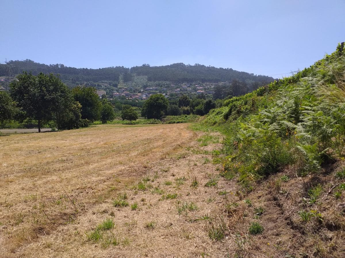 1/8 de Terrenos · Santo Tirso — image 7