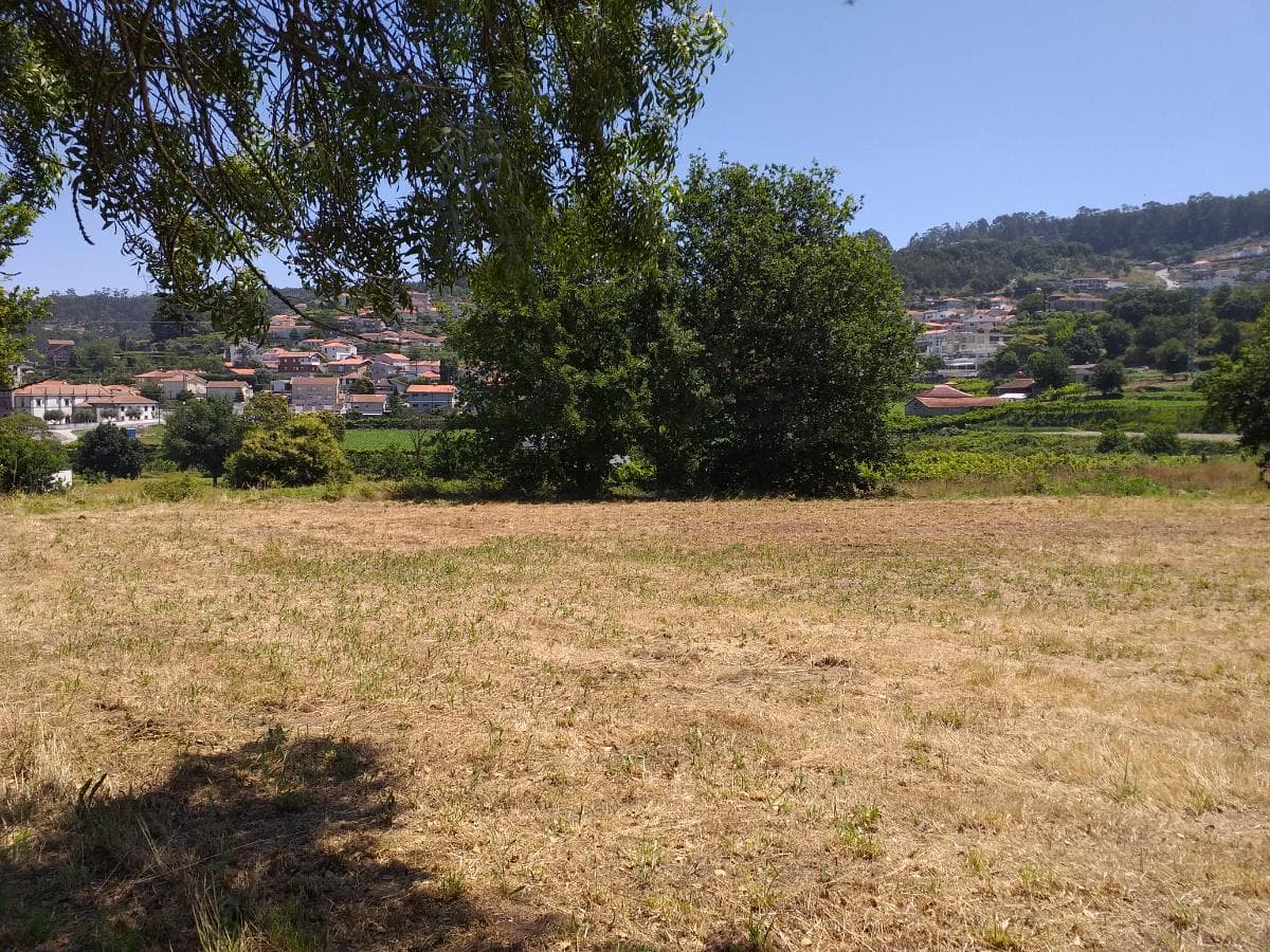 1/8 de Terrenos · Santo Tirso — image 10