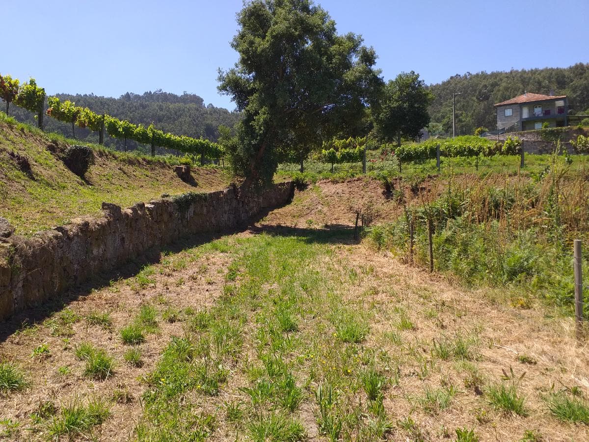 1/8 de Terrenos · Santo Tirso — image 11