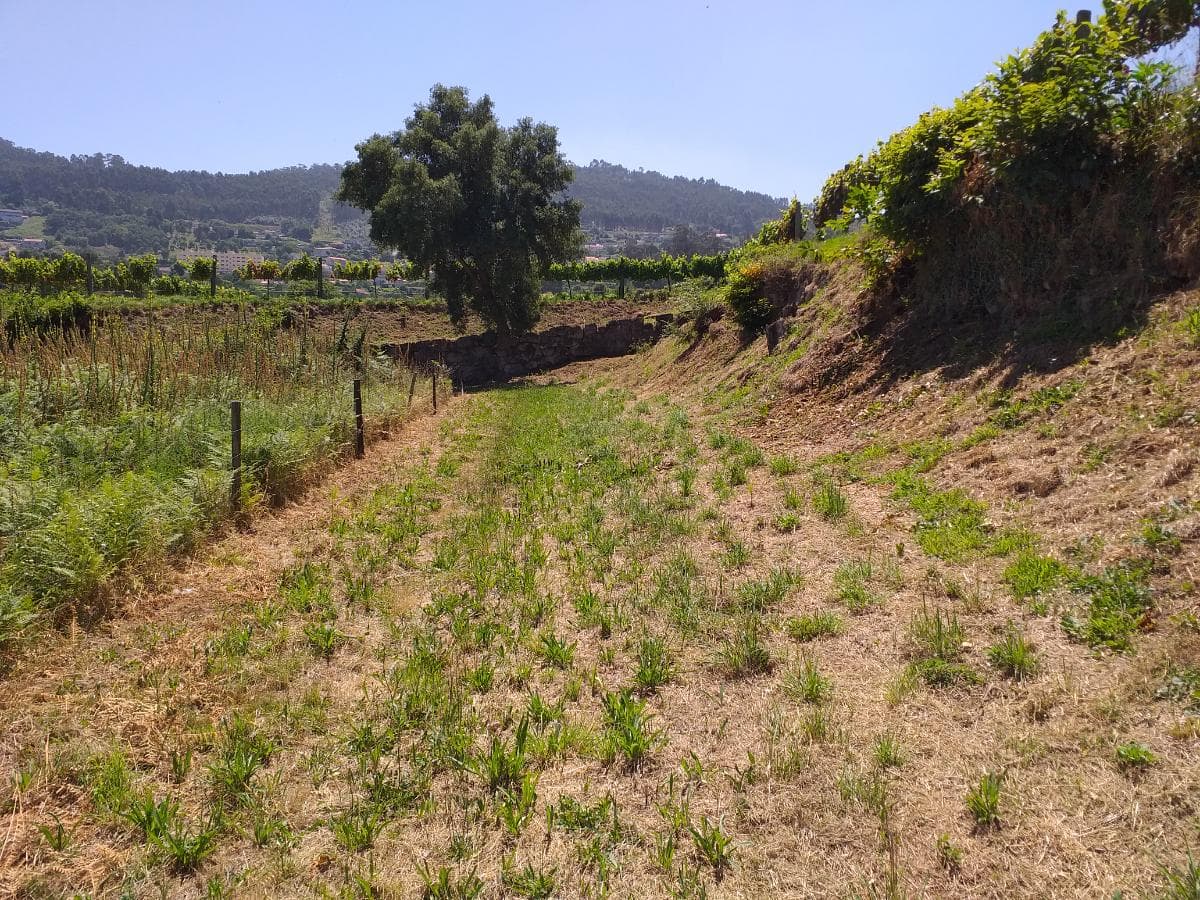 1/8 de Terrenos · Santo Tirso — image 13