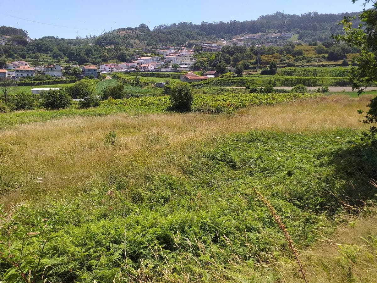 1/8 de Terrenos · Santo Tirso — image 1